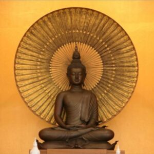 Customised Wall Paper